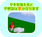 タネを植えると不思議な木が育ちます