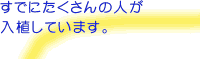すでにたくさんの人が入植しています。