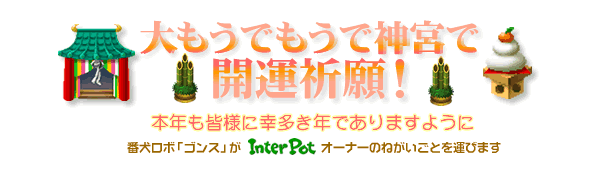 初詣はもうでもうで神宮へ！