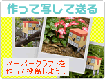 作って写して送るでゴンス！