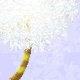 樹木：おおたんぽぽ