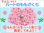 コンテスト：ハートの形のももざくら